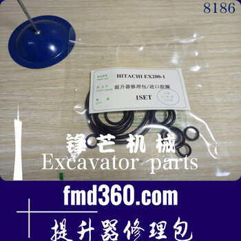 空壓機(jī)配件日立挖掘機(jī)油封EX200-1提升器修理包