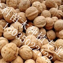 1473121188065504000-4.jpg@1e_1c_220w_220h_90Q.jpg