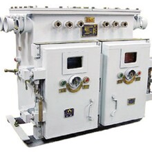 冷氏电气QJZ-2X60SF双电源真空电磁起动器图片