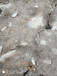 荆门市石灰岩开采分裂棒岩石矿山破碎设备