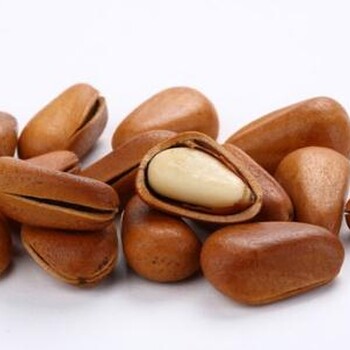 青岛咖啡豆进口清关/一站式代理秘鲁咖啡豆进口
