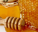 澳大利亚蜂蜜进口清关报关报检专业代理青岛蜂蜜进口报关清关一对一高效代理