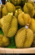 年底大优惠！青岛机场进口新西兰麦卢卡蜂蜜专业报关服务图片