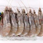 青岛澳洲鲜活水产对虾海鲜进出口报关代理关税报价
