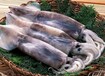 青岛港泰国石斑鱼进口清关一站式代理报关公司