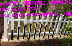 泗县pvc花坛护栏价格-草坪护栏大量现货-当日发货图片5