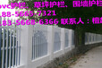（批发）信阳市光山县pvc护栏绿化围栏实在厂家供应