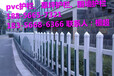 南京市绿化护栏-pvc绿化护栏企业大厂值得信赖