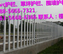 仙居县新农村草坪护栏厂商出售图片