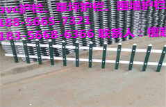 （供货）平顶山市湛河区pvc塑钢护栏绿色草坪护栏当地实在厂家供货图片1