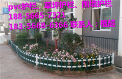 泗县pvc花坛护栏价格-草坪护栏大量现货-当日发货图片4