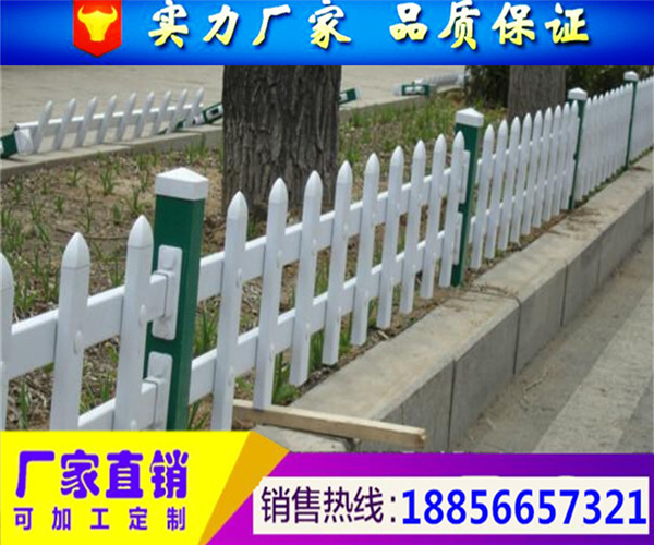 信阳街道绿化护栏、花池围栏-pvc栅栏厂家价格