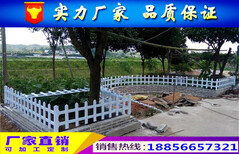 镇江市街道绿化护栏、pvc栅栏-绿化围栏价格图片3