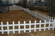 信阳新县pvc绿化护栏￥美好乡村塑钢护栏厂