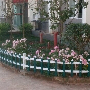 信阳淮滨县塑料绿化护栏网88美好乡村塑钢护栏厂
