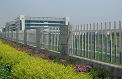 信阳市平桥区花坛pvc护栏、塑钢栅栏·护栏的安装方便图片0