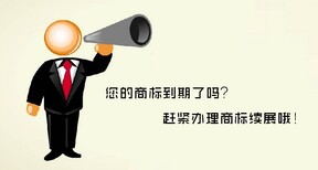 商标异议成功案例商标不相关的子类能异议吗商标异议答辩后多久图片1