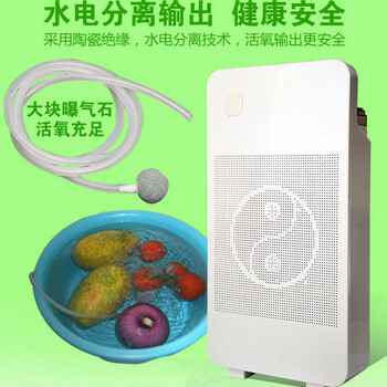 果蔬超氧负离子雾化空气净化器会销礼品家用多功能生态仪