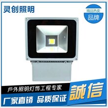 广西南宁城市灯光亮化专家LED投光灯科锐芯片高亮度-推荐灵创照明图片