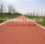 生态透水混凝土路面公园景观道路广场彩色铺装耐磨防腐图片1