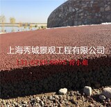 生态透水混凝土路面公园景观道路广场彩色铺装耐磨防腐图片2