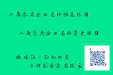 中字开头企业名称预先核准总局核名图片3