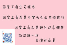 中字开头企业名称预先核准总局核名图片0