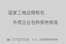 国家工商总局企业名称加急图片3