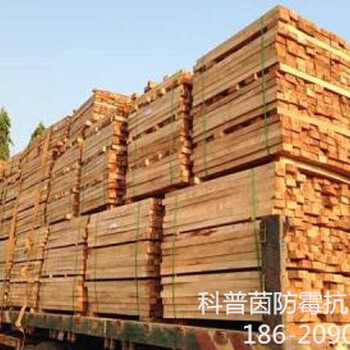 木材防霉剂佛山防霉剂科普茵木材防霉剂占华南