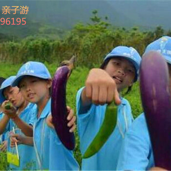 深圳农家乐亲子游亲子乐园在哪里有什么特色项目