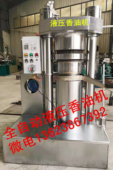 液压香油机厂家，徐州全自动10公斤液压榨油机电炒锅，菜籽自动上料生榨机