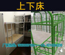 周口学生高低床（环保喷塑）——郸城新闻资讯图片