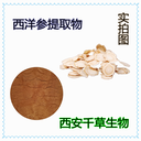 西洋參提取物粉濃縮粉浸膏粉水溶粉純浸膏顆粒