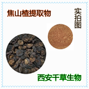 焦山楂提取物焦山楂濃縮粉焦山楂浸膏粉