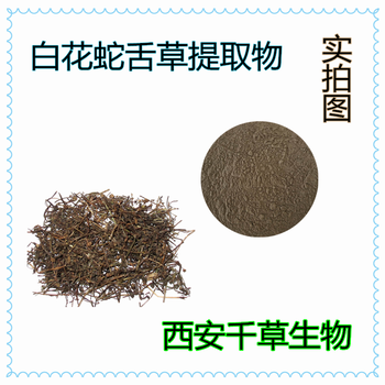 白花蛇舌草提取物浓缩粉浸膏粉水溶粉厂家定做天然纯浸膏