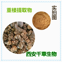 重樓提取物重樓濃縮粉重樓浸膏粉