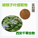 胡頹子葉提取物胡頹子葉濃縮粉胡頹子葉浸膏粉