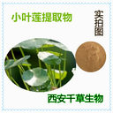 小葉蓮提取物小葉蓮濃縮粉小葉蓮浸膏粉定制浸膏