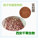 鴿子肉提取物鴿子肉濃縮粉鴿子肉浸膏粉