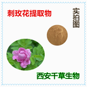 紅玫瑰提取物紅玫瑰濃縮粉紅玫瑰浸膏粉定制浸膏