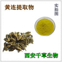 水溶性黃連提取物黃連濃縮粉黃連浸膏粉廠家生產(chǎn)