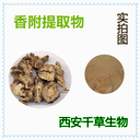 水溶性香附提取物香附濃縮粉香附浸膏粉廠家生產(chǎn)
