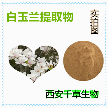 白玉兰提取物白玉兰浓缩粉白玉兰浸膏粉白玉兰水溶粉