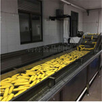 800玉米棒加工设备速冻玉米加工设备玉米漂烫机