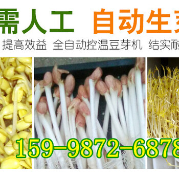 锦州豆芽机厂家全自动豆芽机生产线2018新款豆芽机