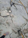 温州市劈裂机岩石破碎石头打不动用分裂机操作流程