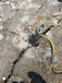 山西运城基桩处理淤泥设备污泥压滤机详情说明