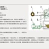 环保：大理通化泥浆分离设备带式污泥处理设备