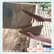 资讯：黑龙江鹤岗泥浆清洁器泥水分离器图片