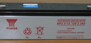 汤浅（顺德）UPS免维护蓄电池厂家设备蓄电池图片1